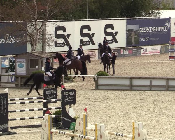 FEI Reitturnier Lier (BEL) 2020