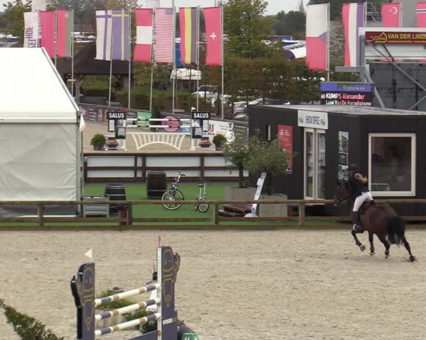 FEI Reitturnier Lier (BEL) 2020