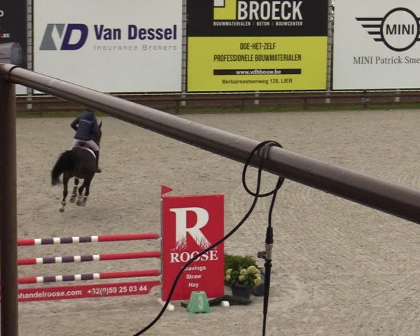 FEI Reitturnier Lier (BEL) 2020