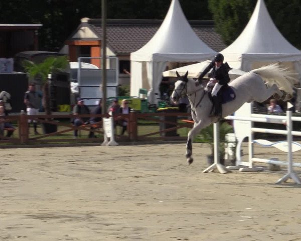 Equus Colonius - Reitanlage Brüse Köln 2021