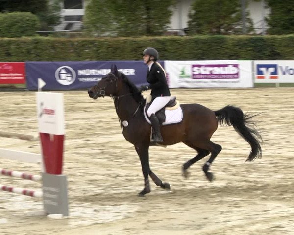 Reitturnier Schutterwald 2020
