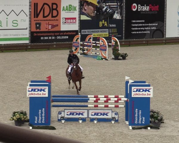 FEI Reitturnier Lier (BEL) 2020