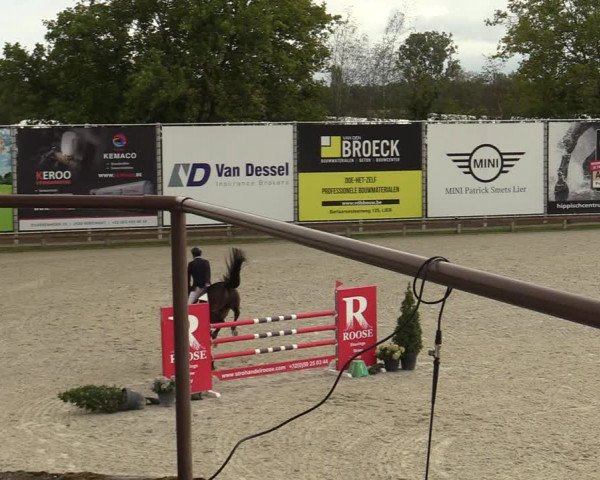 FEI Reitturnier Lier (BEL) 2020