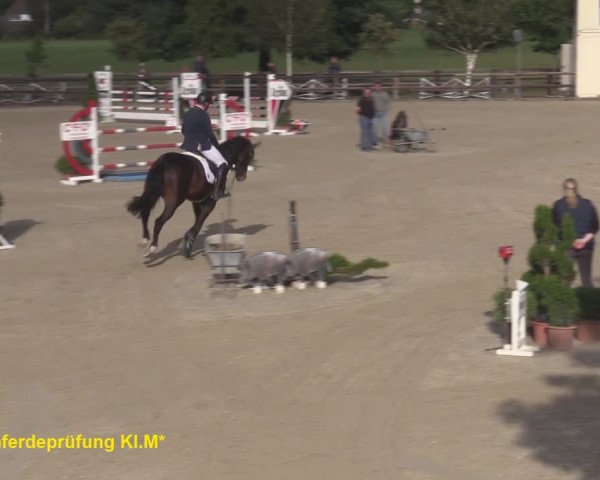 Reitturnier Kirchhellen/Stall Dieckmann 2020