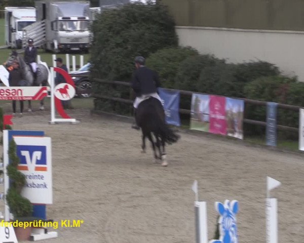Reitturnier Kirchhellen/Stall Dieckmann 2020
