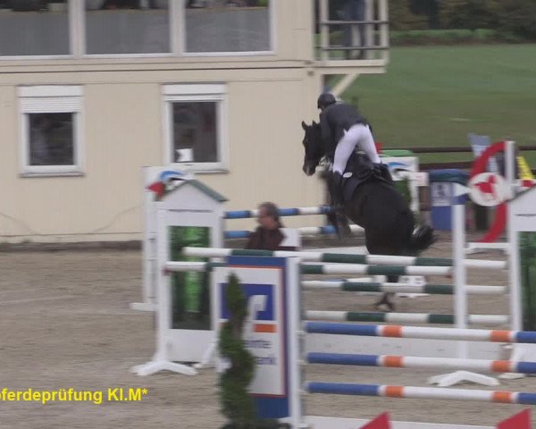 Reitturnier Kirchhellen/Stall Dieckmann 2020