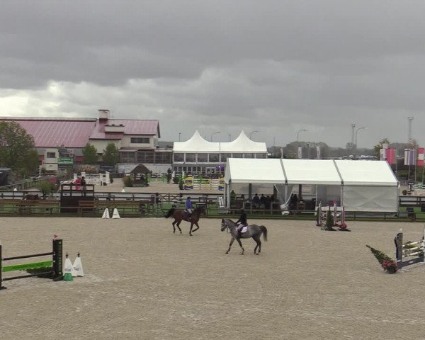 FEI Reitturnier Lier (BEL) 2020