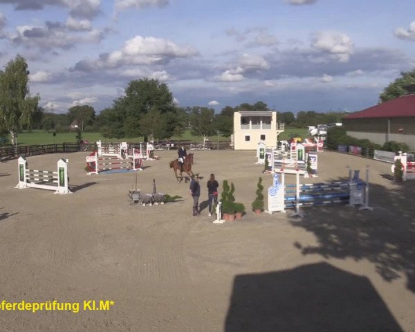 Reitturnier Kirchhellen/Stall Dieckmann 2020
