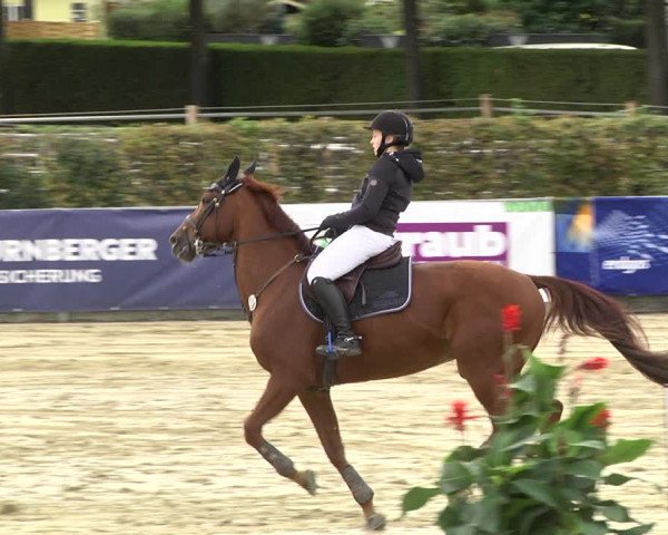 Reitturnier Schutterwald 2020