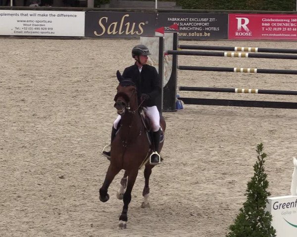 FEI Reitturnier Lier (BEL) 2020
