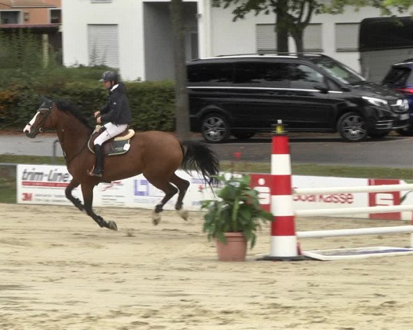 Reitturnier Schutterwald 2020