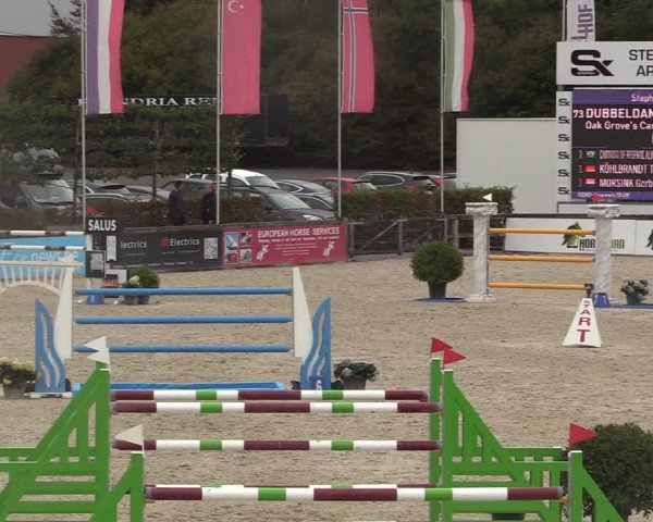 FEI Reitturnier Lier (BEL) 2020