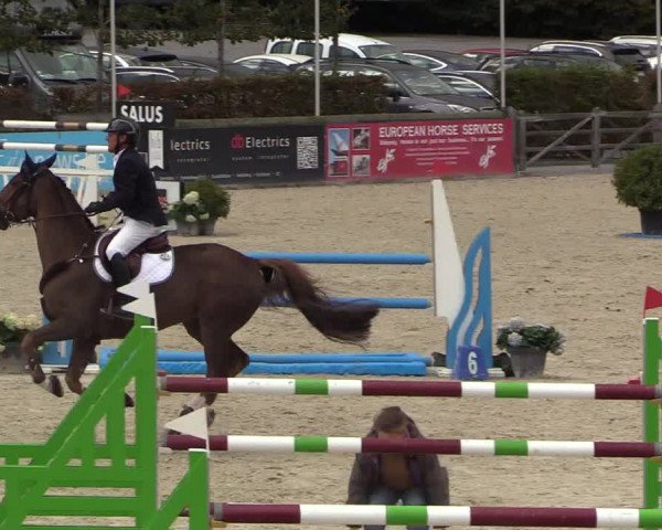FEI Reitturnier Lier (BEL) 2020