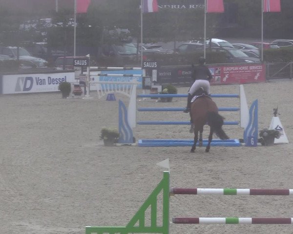 FEI Reitturnier Lier (BEL) 2020