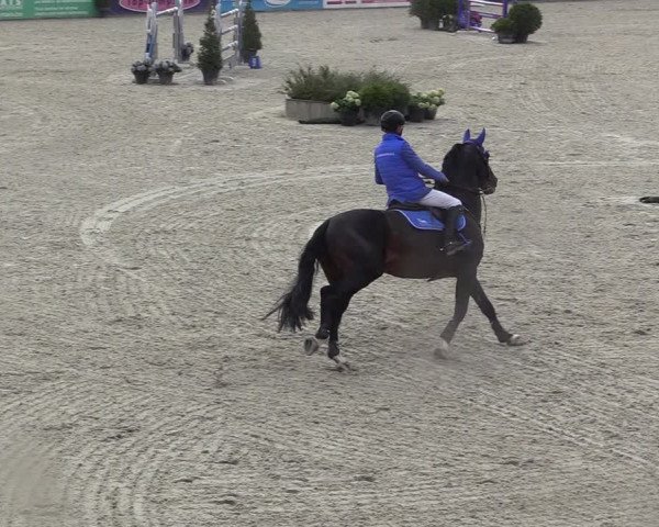 FEI Reitturnier Lier (BEL) 2020