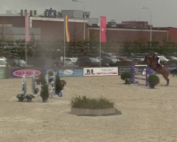 FEI Reitturnier Lier (BEL) 2020