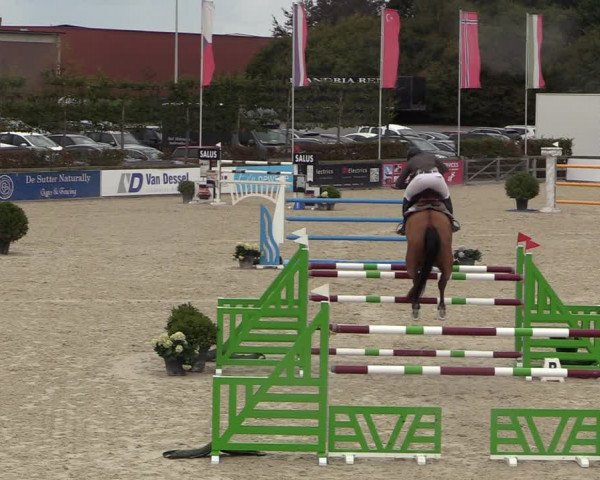 FEI Reitturnier Lier (BEL) 2020
