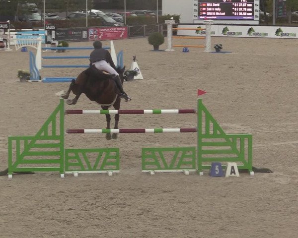 FEI Reitturnier Lier (BEL) 2020