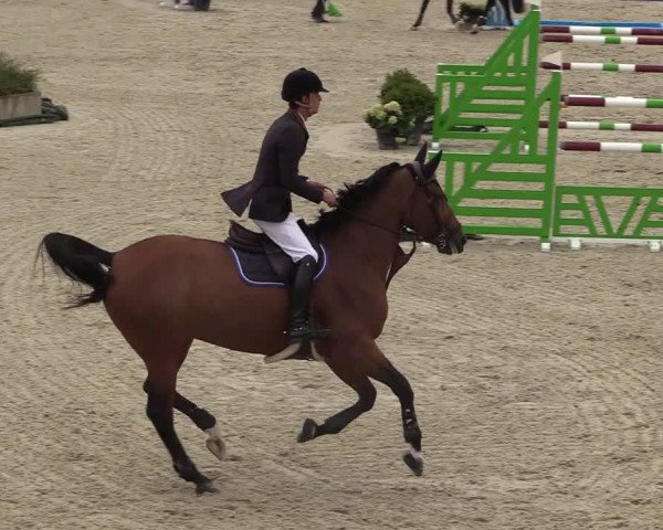 FEI Reitturnier Lier (BEL) 2020