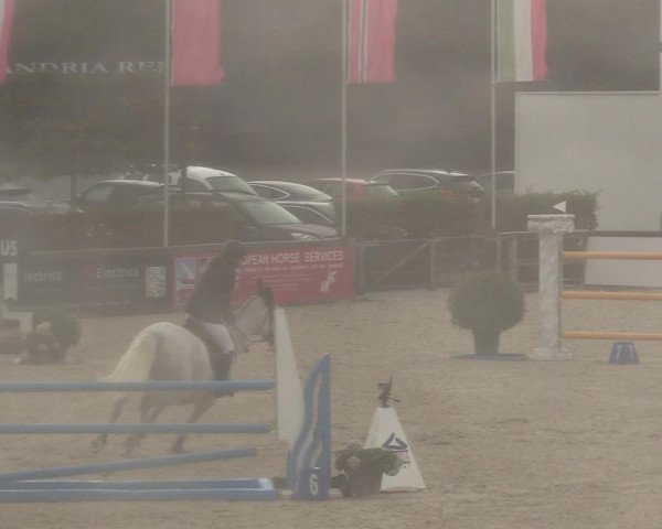 FEI Reitturnier Lier (BEL) 2020