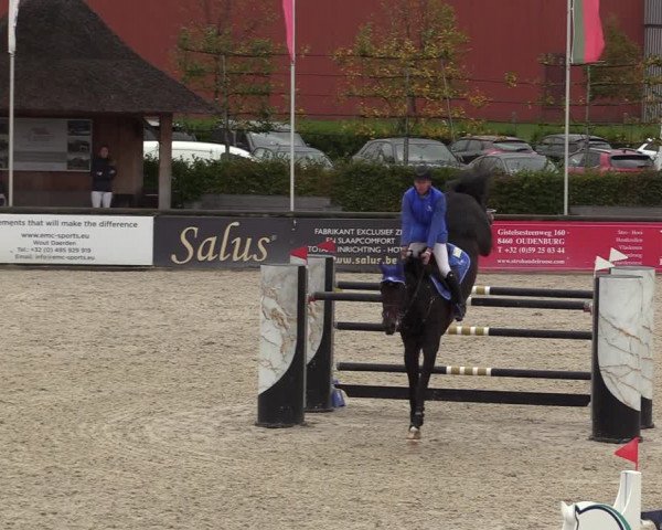 FEI Reitturnier Lier (BEL) 2020