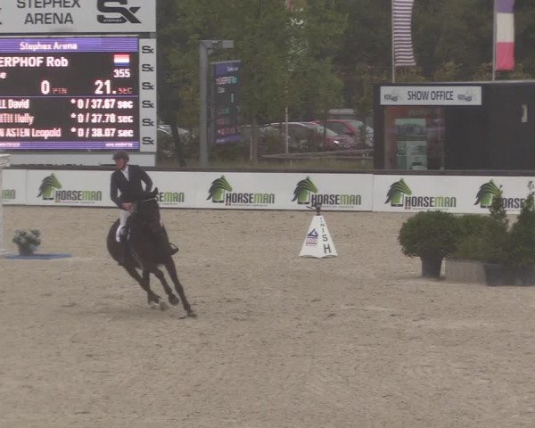 FEI Reitturnier Lier (BEL) 2020
