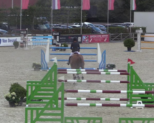 FEI Reitturnier Lier (BEL) 2020