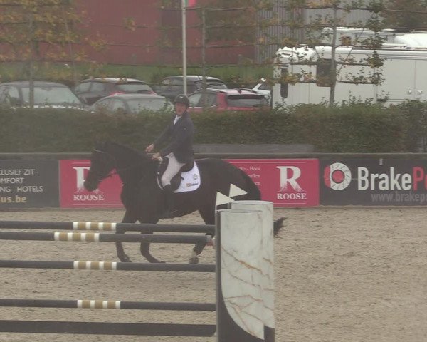 FEI Reitturnier Lier (BEL) 2020