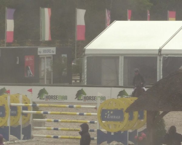 FEI Reitturnier Lier (BEL) 2020