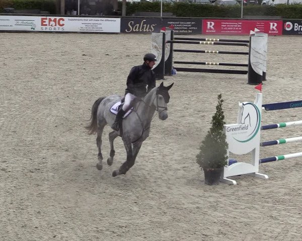 FEI Reitturnier Lier (BEL) 2020