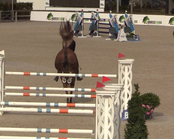 FEI Reitturnier Lier (BEL) 2020