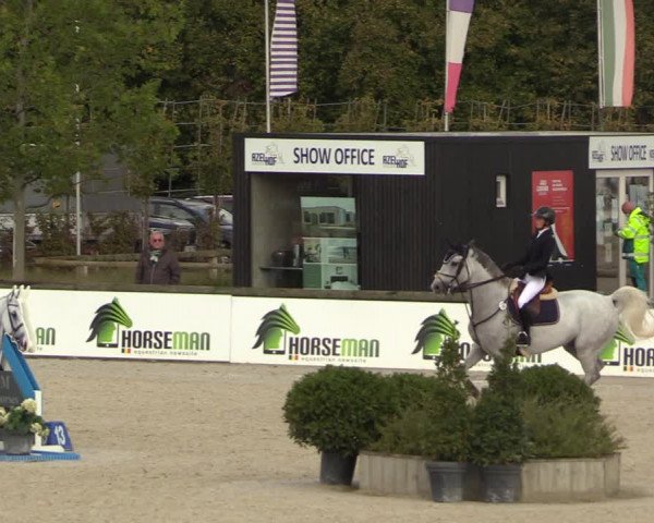FEI Reitturnier Lier (BEL) 2020