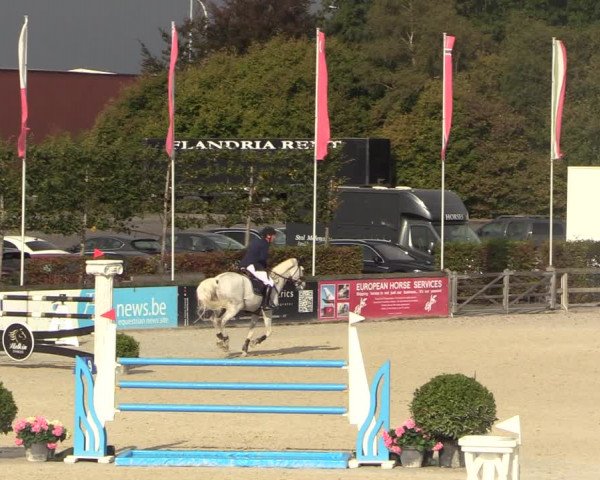 FEI Reitturnier Lier (BEL) 2020