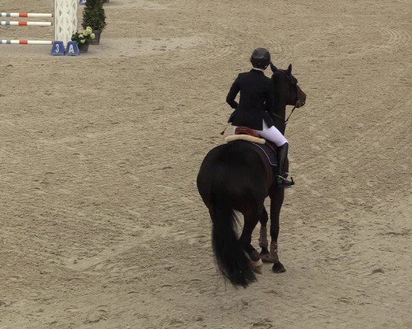 FEI Reitturnier Lier (BEL) 2020