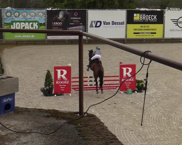 FEI Reitturnier Lier (BEL) 2020