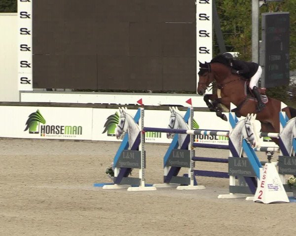 FEI Reitturnier Lier (BEL) 2020