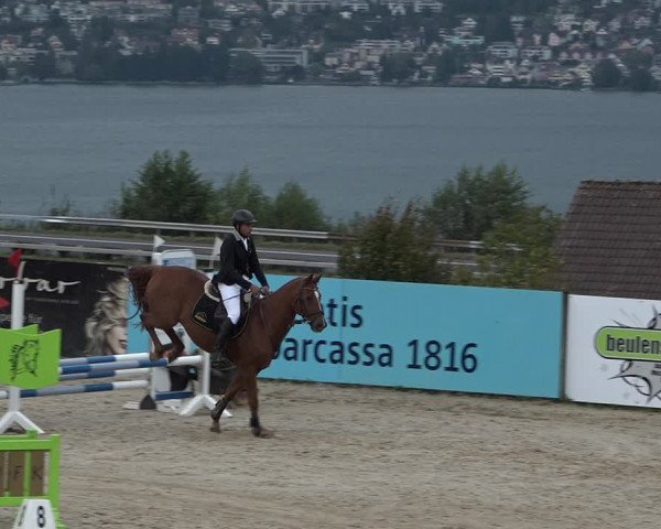Reitturnier Wädenswil 2020