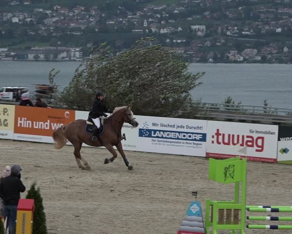 Reitturnier Wädenswil 2020