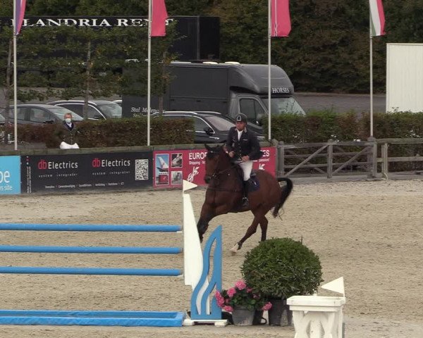 FEI Reitturnier Lier (BEL) 2020