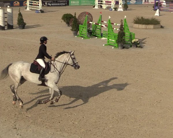 FEI Reitturnier Lier (BEL) 2020