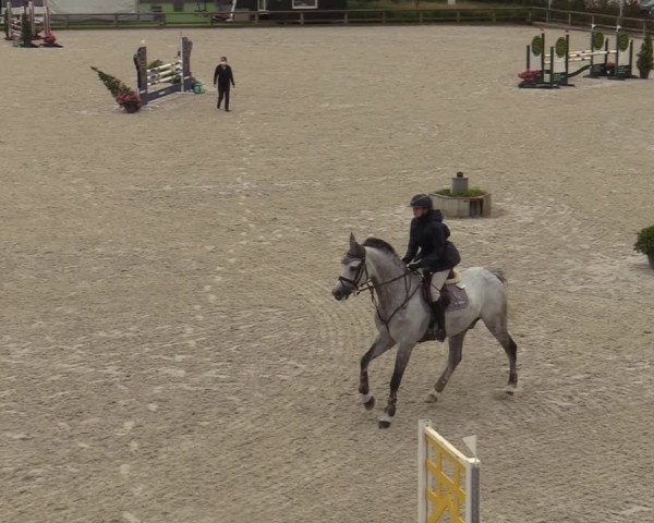 FEI Reitturnier Lier (BEL) 2020