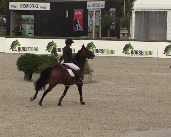 FEI Reitturnier Lier (BEL) 2020