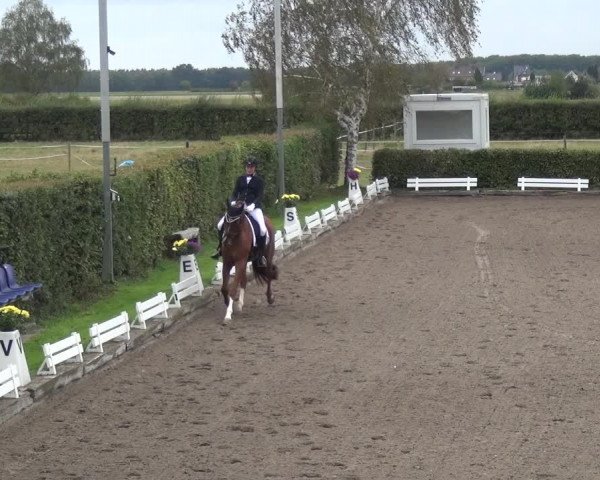 Reitturnier Übach-Palenberg - Scherpenseel 2020