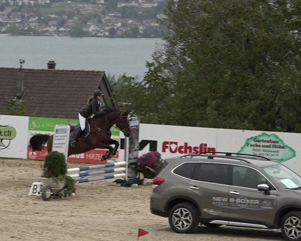 Reitturnier Wädenswil 2020