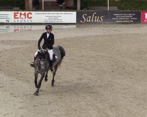 FEI Reitturnier Lier (BEL) 2020
