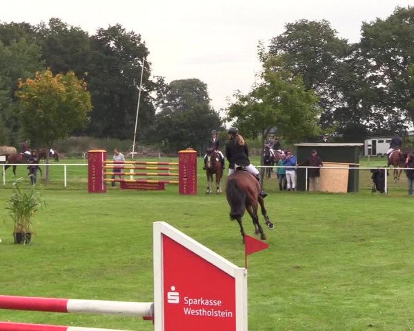 Reitturnier Kellinghusen 2020