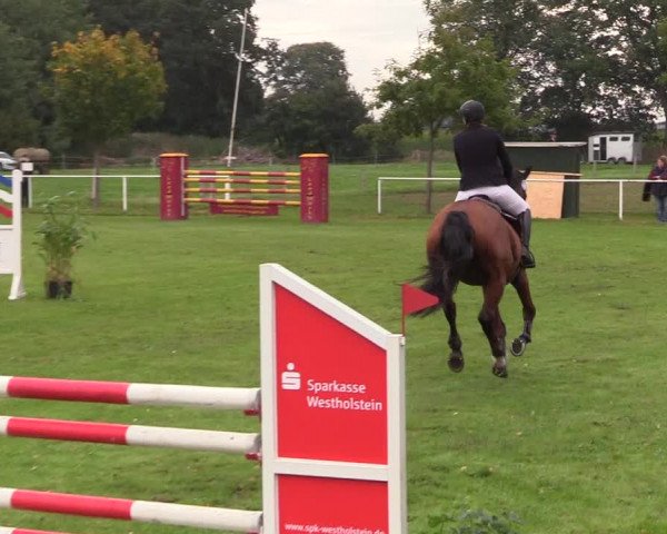 Reitturnier Kellinghusen 2020