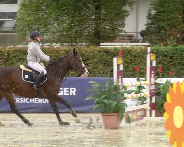 Reitturnier Schutterwald 2020