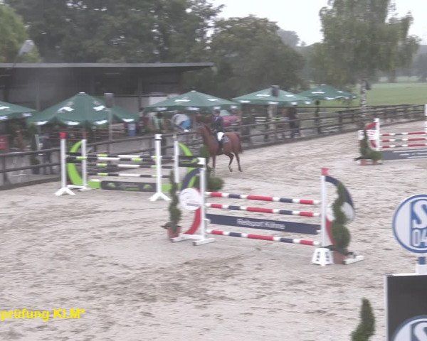 Reitturnier Kirchhellen/Stall Dieckmann 2020