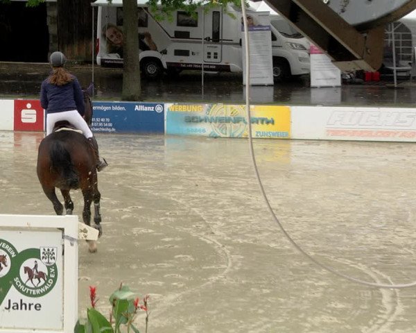 Reitturnier Schutterwald 2020